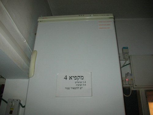 IMG_8233.jpg