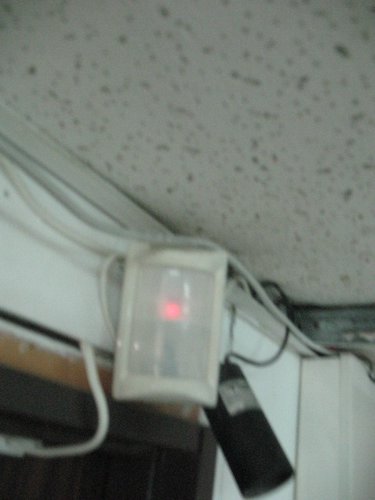 IMG_8306.jpg