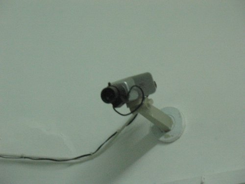 IMG_8583.jpg