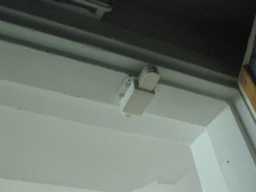 IMG_8605.jpg