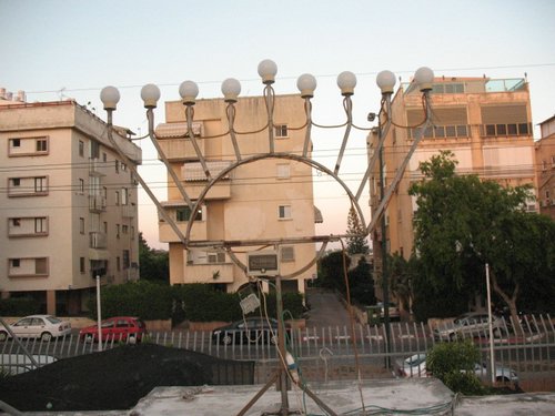 IMG_9013.jpg