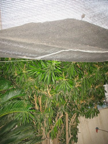 IMG_9044.jpg
