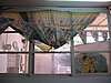 IMG_8073.jpg