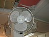 IMG_8080.jpg