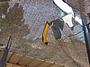 IMG_8104.jpg