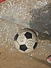 IMG_8128.jpg