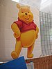 IMG_8146.jpg