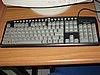 IMG_8187.jpg