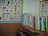 IMG_8213.jpg