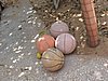 IMG_8220.jpg