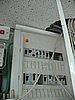 IMG_8302.jpg