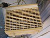 IMG_8361.jpg