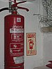 IMG_8367.jpg