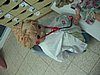 IMG_8542.jpg