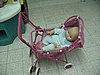 IMG_8551.jpg