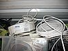 IMG_8661.jpg