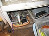 IMG_8666.jpg