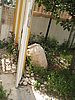 IMG_8754.jpg
