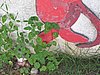 IMG_8759.jpg