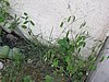 IMG_8761.jpg