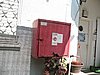 IMG_8772.jpg