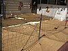 IMG_8783.jpg