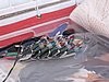 IMG_8795.jpg