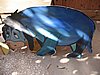 IMG_8862.jpg