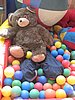 IMG_8897.jpg