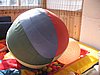 IMG_8914.jpg