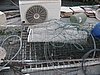 IMG_9006.jpg