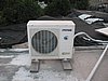 IMG_9019.jpg