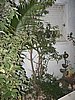 IMG_9038.jpg